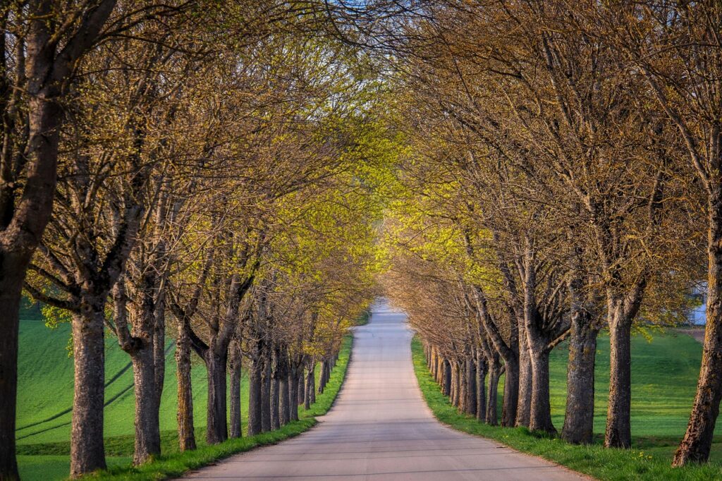 Ka_daryti__jei_kaimy