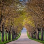 Ka_daryti__jei_kaimy