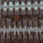 Ka_daryti__jei_kaimy