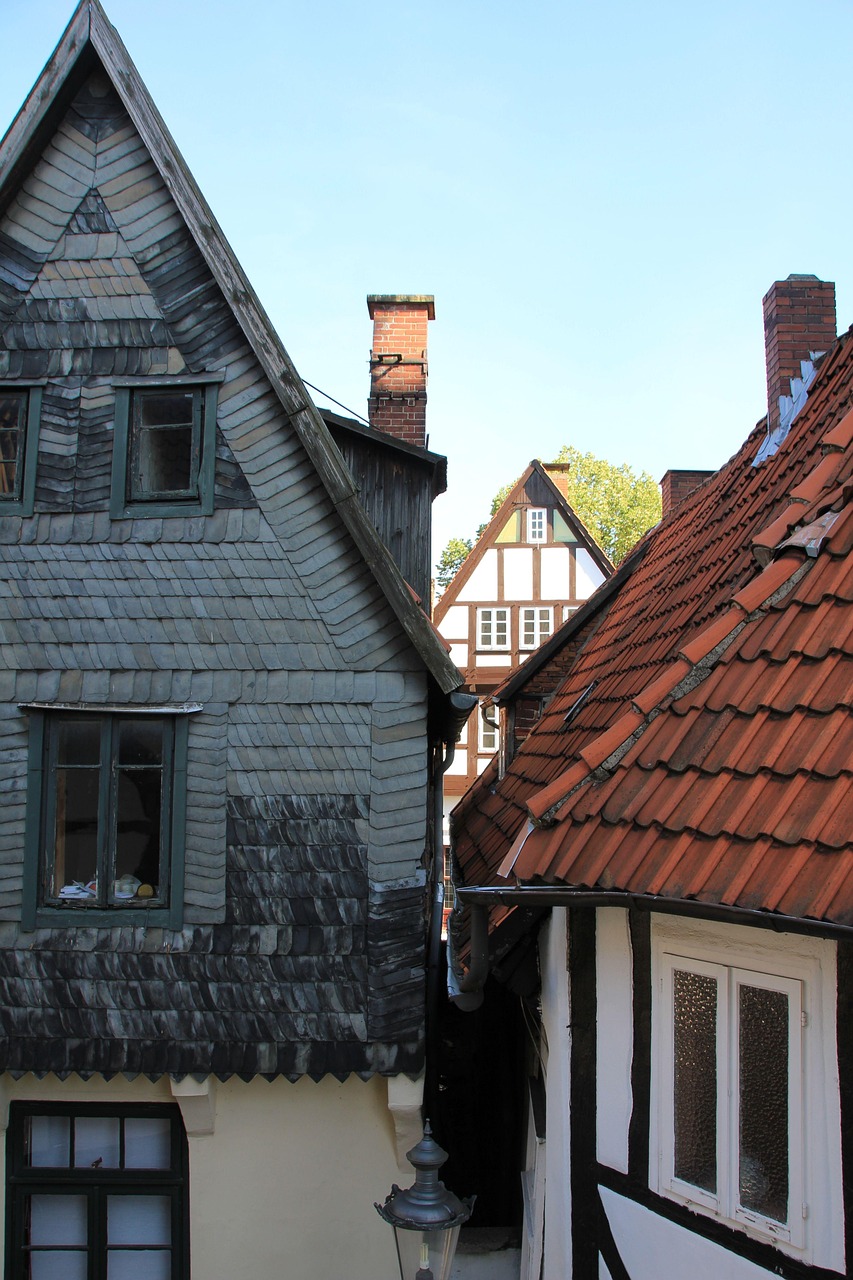 Ka_daryti__jei_kaimy