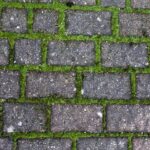 Ka_daryti__jei_kaimy