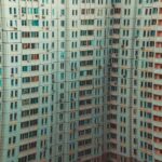 Ka_daryti__jei_kaimy