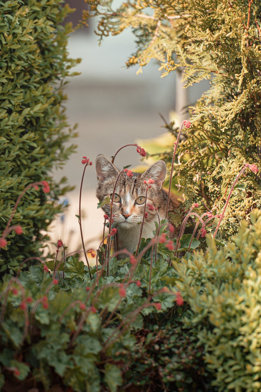 Ka_daryti__jei_kaimy